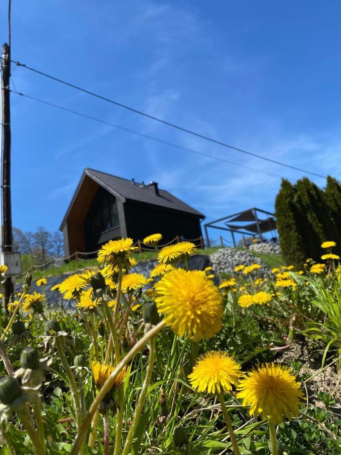 Villa Stodola Nad Skawa Sucha Beskidzka Exterior foto